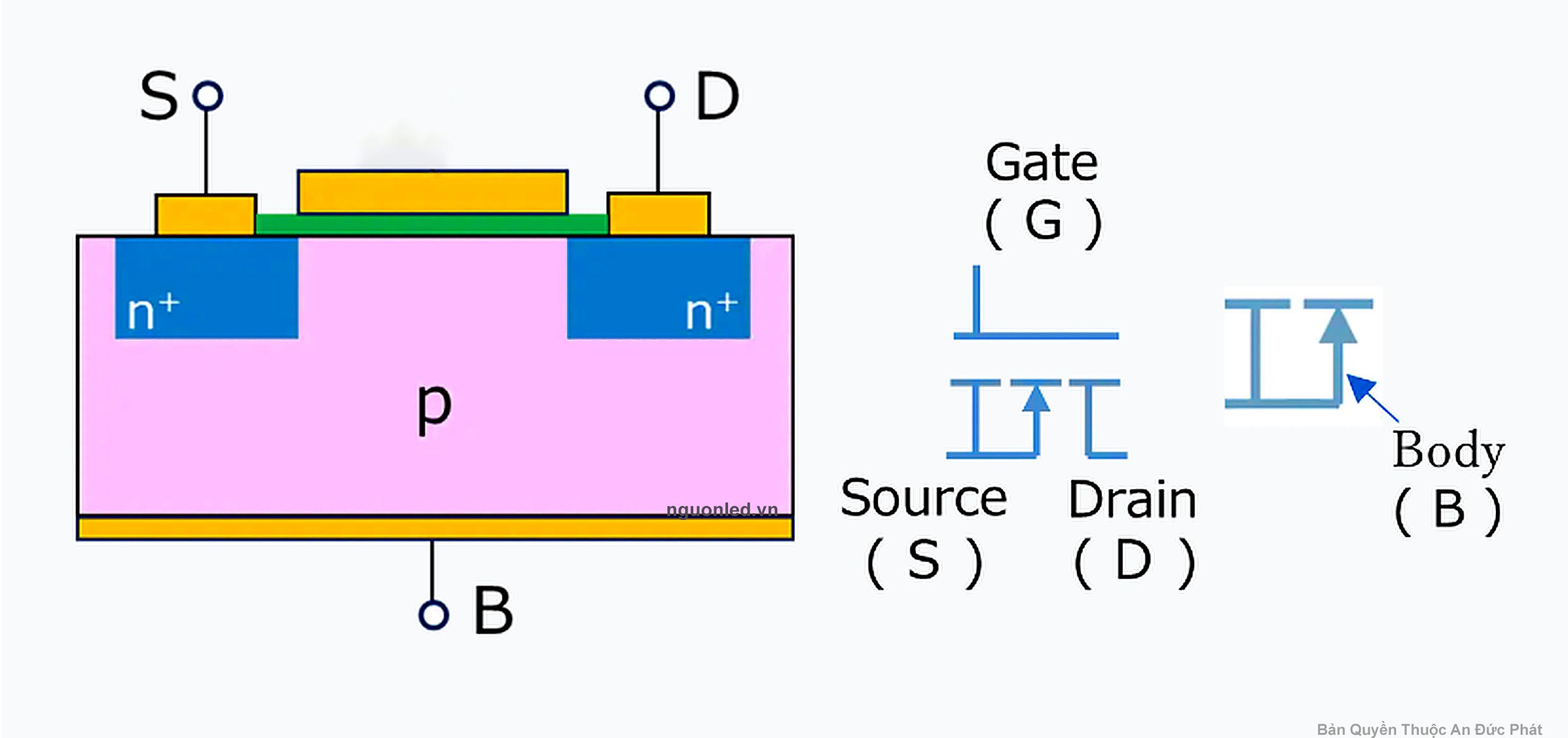 Cấu tạo MOSFET kênh N Gate Drain Source