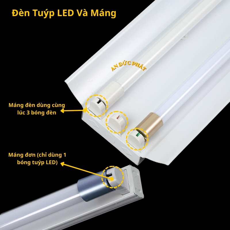 Máng đèn đơn và máng đèn dùng 3 bóng tuýp LED