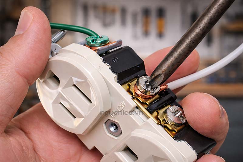 Mối nối phân nhánh