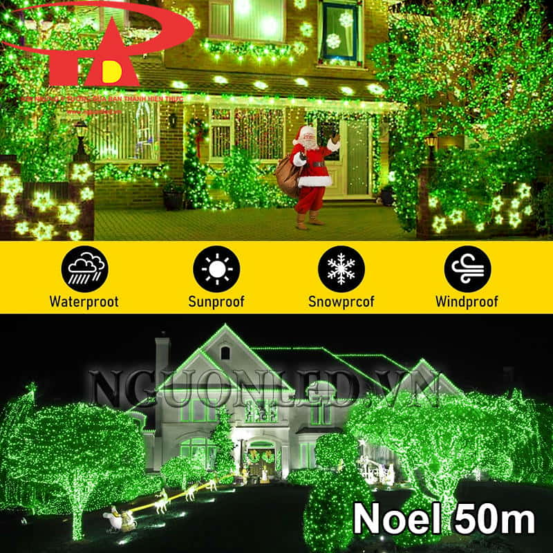 Đèn noel màu xanh lá tại Vũng Tàu