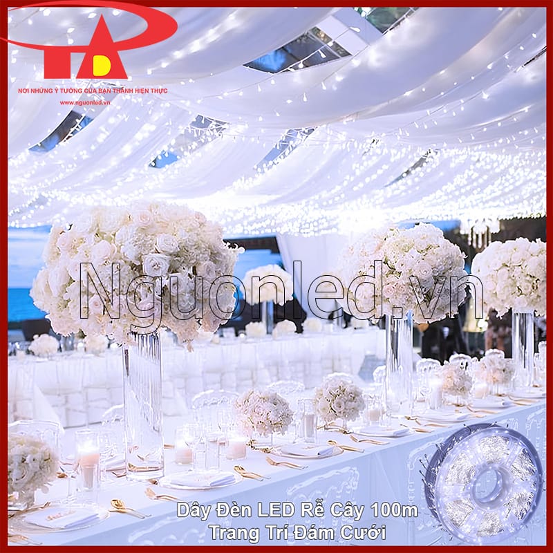 Đèn LED dây rễ cây nguyệt quế 100m màu trắng trang trí tiệc cưới ngoài trời