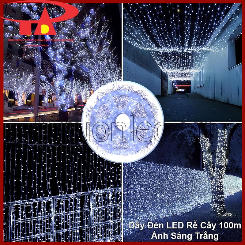 Đèn LED hạt gạo trang trí 220V dây 100m tạo ánh sáng dẫn lối ban đêm