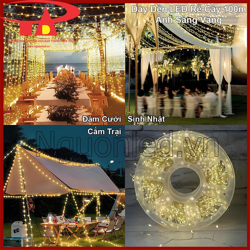 Ánh sáng vàng từ dây đèn LED rễ cây giúp sự kiện trở nên ấm áp và tinh tế