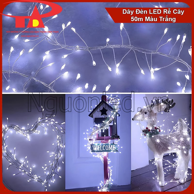 Không Gian Trong Nhà – Ánh Sáng Hiện Diện Trong Từng Chuyển Động