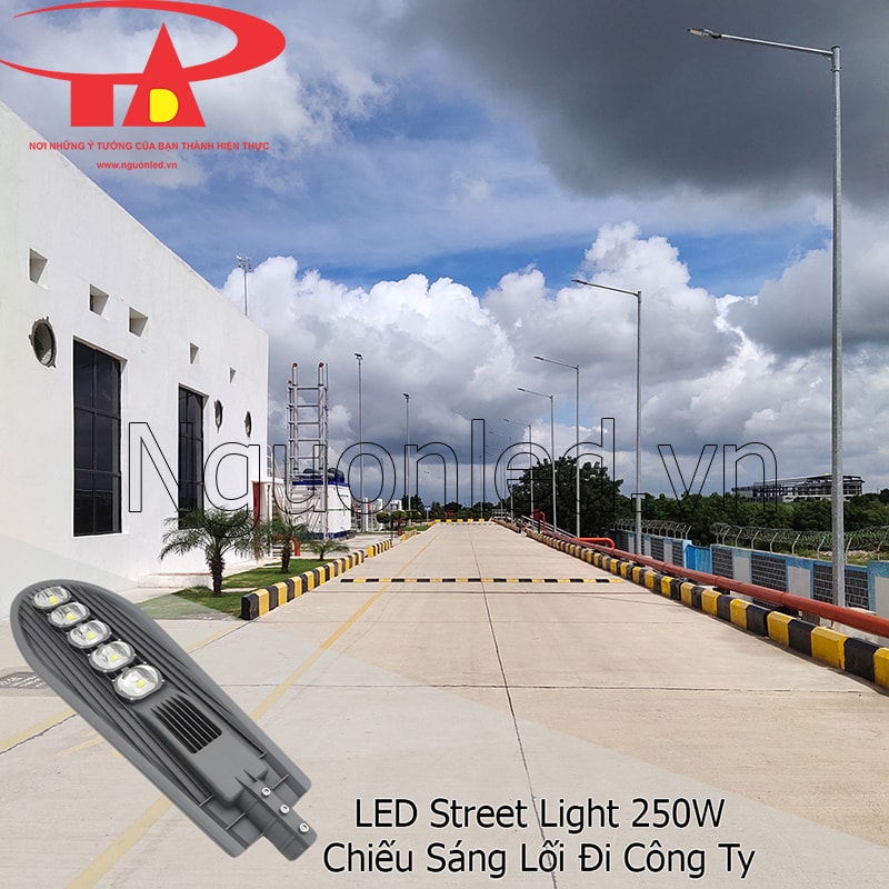 Lắp đèn đường led chiếc lá 250W cho lối đi nhà máy giúp chiếu sáng rõ ràng, an toàn
