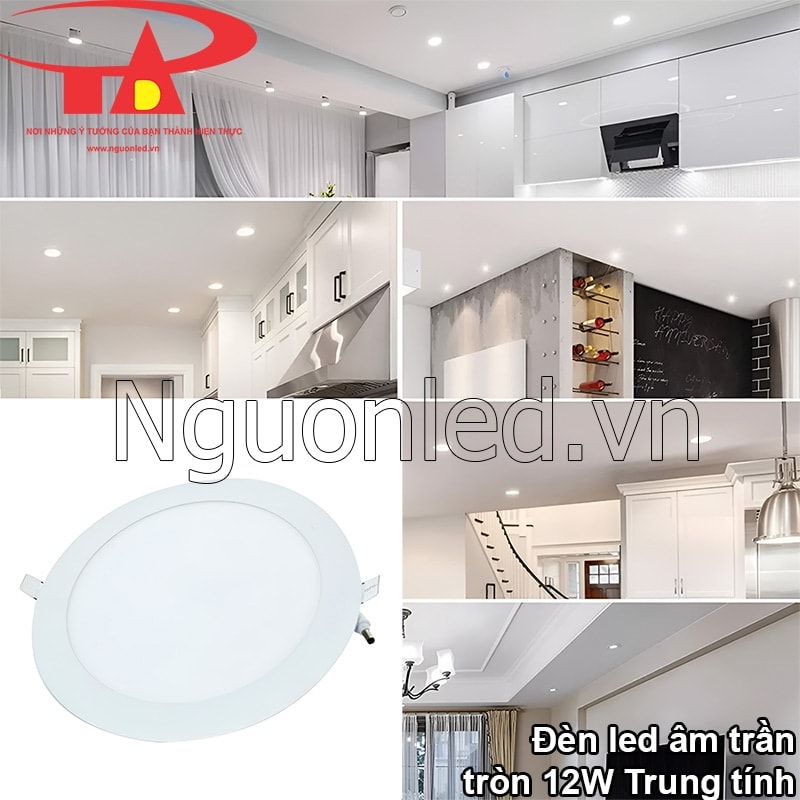 Đèn downlight 12W vàng - điểm nhấn hoàn hảo cho nội thất