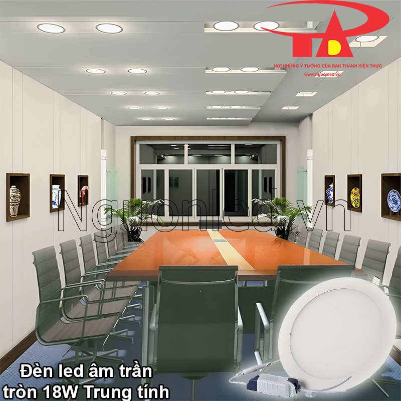 Đèn downlight âm trần, văn phòng làm việc chuyên nghiệp