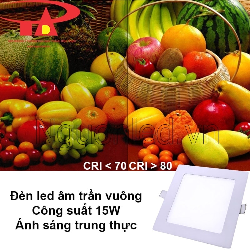 Đèn trần thạch cao trung tính: Màu sắc chân thực, CRI > 80