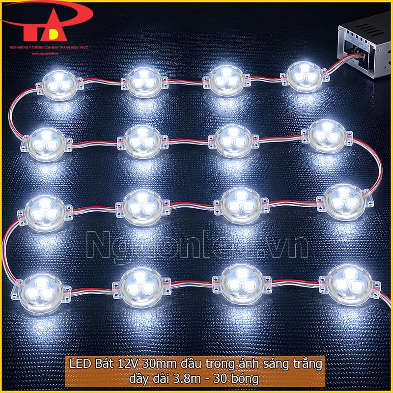 Dây LED bát 30mm đầu trong gồm 30 bóng dài khoảng 3,8m 