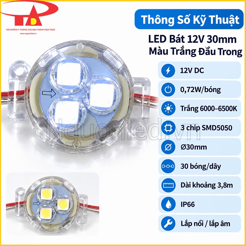 LED bát 12V 30mm màu trắng đầu trong với các thông số kỹ thuật chính