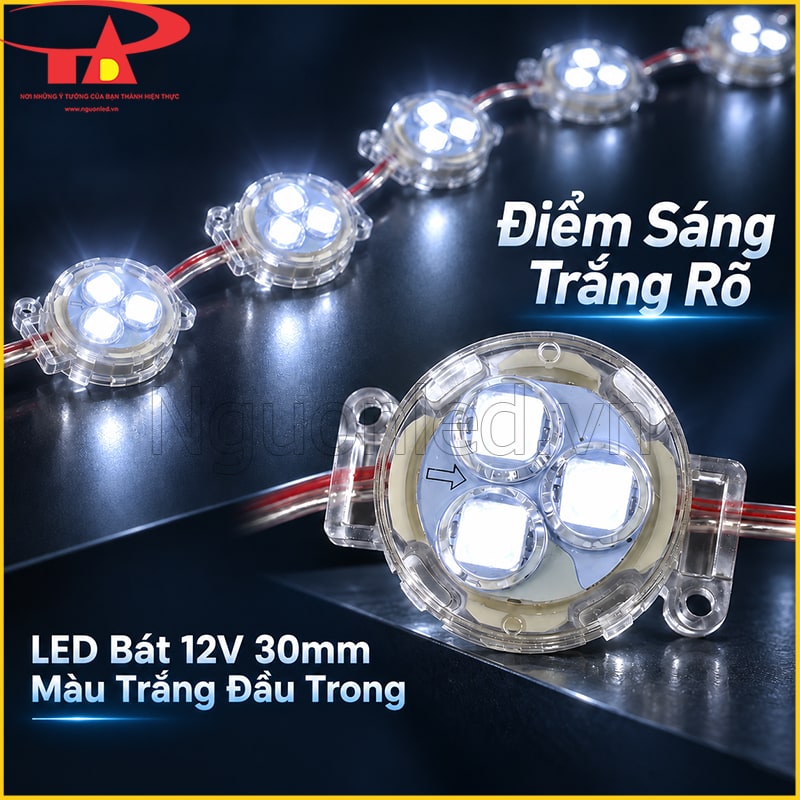 LED bát 12V 30mm màu trắng đầu trong phát sáng trắng với 3 chip SMD5050