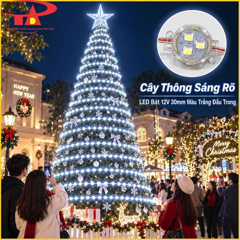 Cây thông Noel trang trí LED bát 12V 30mm màu trắng đầu trong theo từng tầng