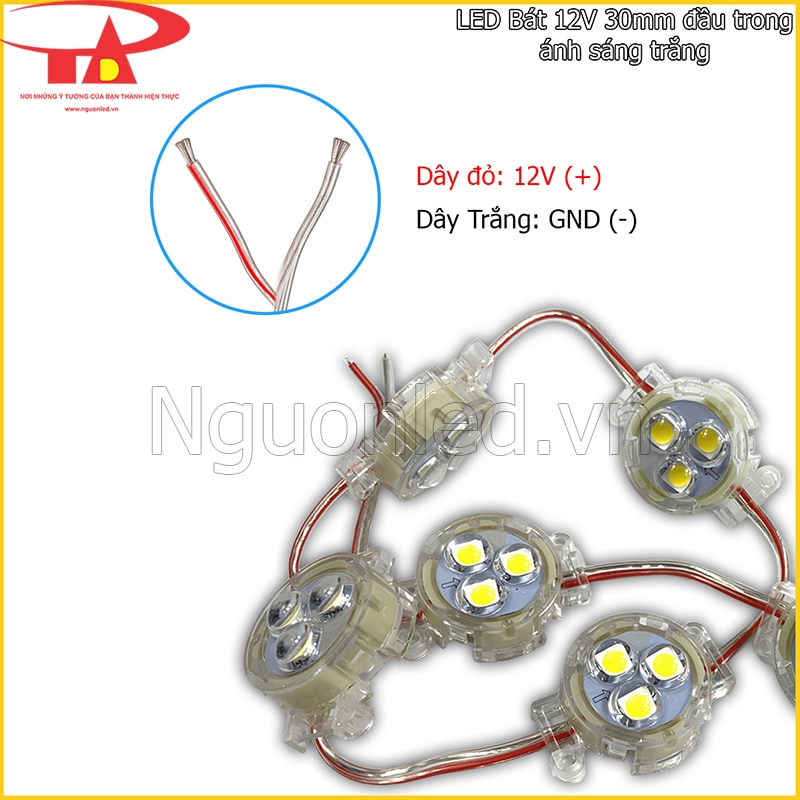 LED bát 30mm 12V đầu trong với dây sọc đỏ dương và dây trắng âm