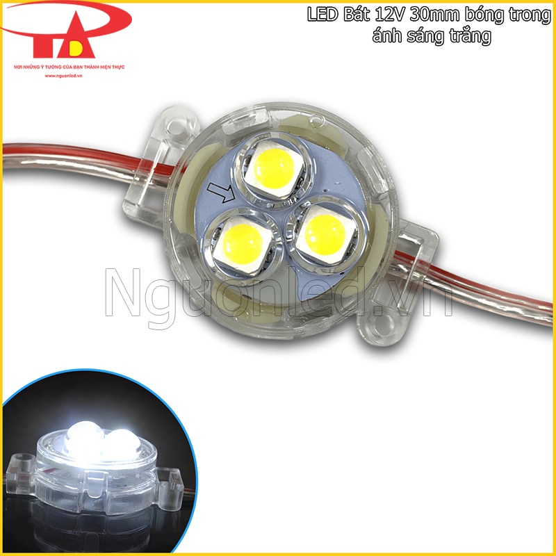 LED bát 30mm màu trắng đầu trong nhìn rõ 3 chip SMD5050 qua mặt bóng