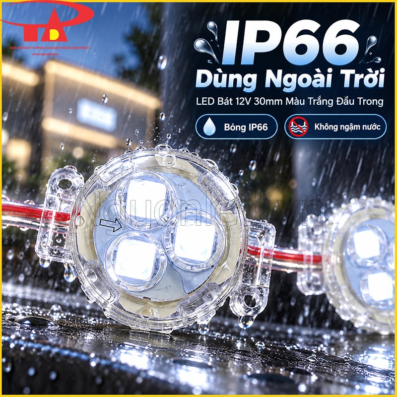 LED bát 30mm màu trắng đầu trong IP66 dùng ở vị trí ngoài trời 