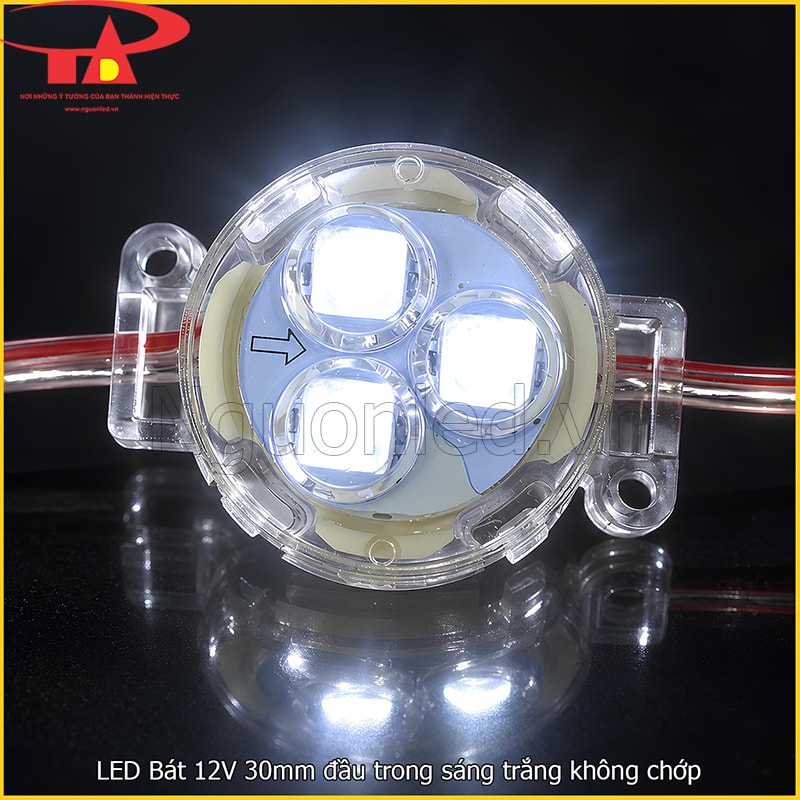 LED bát F30 12V màu trắng đầu trong phát sáng trắng lạnh 6000–6500K 