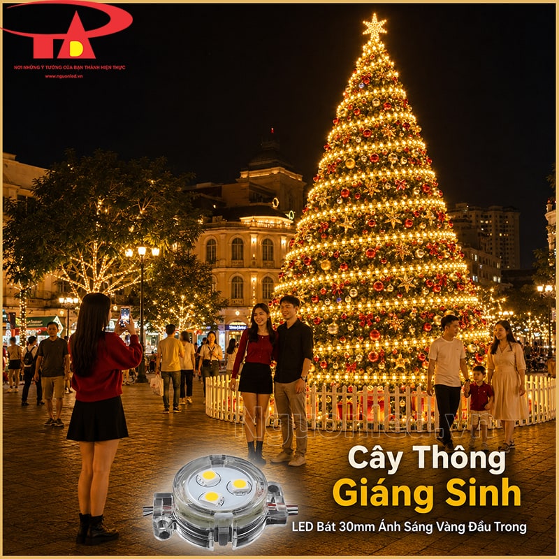 Cây thông Noel lớn trang trí nhiều điểm LED bát 30mm màu vàng đầu trong theo từng tầng