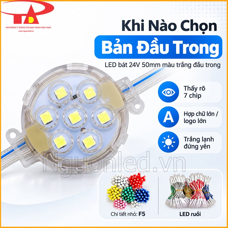 Bóng LED bát 50mm màu trắng đầu trong dùng cho chữ lớn, logo và khung trang trí 