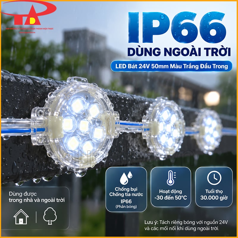 LED bát 24V 50mm màu trắng đầu trong dùng ngoài trời với cấp bảo vệ IP66