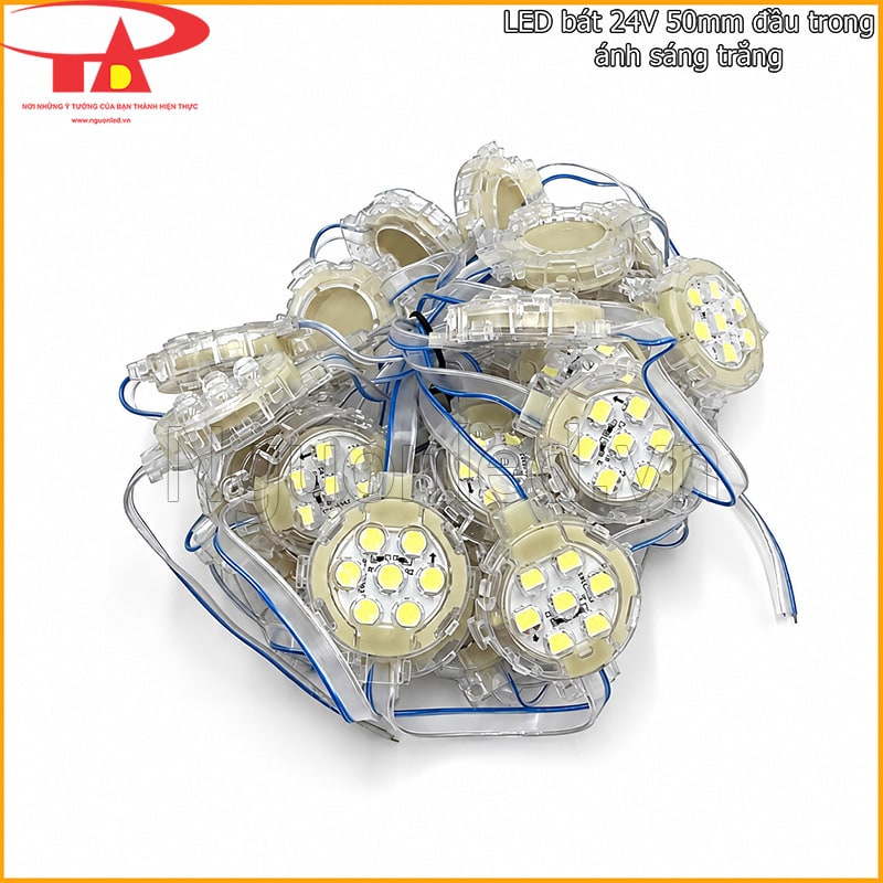 LED bát 24V 50mm màu trắng đầu trong với mặt bóng trong suốt và điểm sáng rõ
