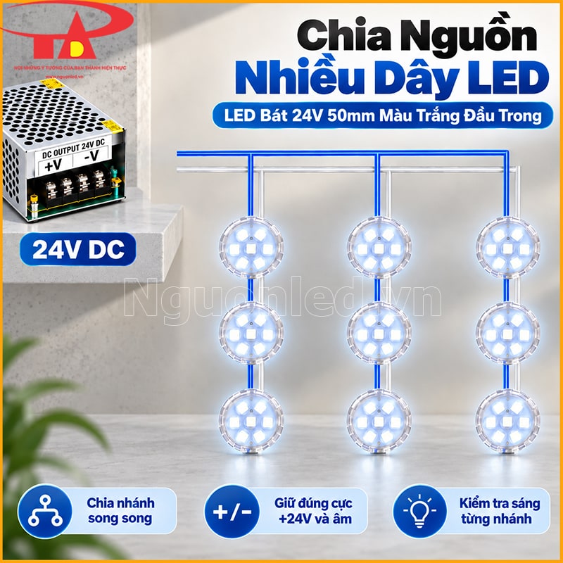 LED bát 24V màu trắng đầu trong sáng đứng yên khi kiểm tra sau khi cấp nguồn  