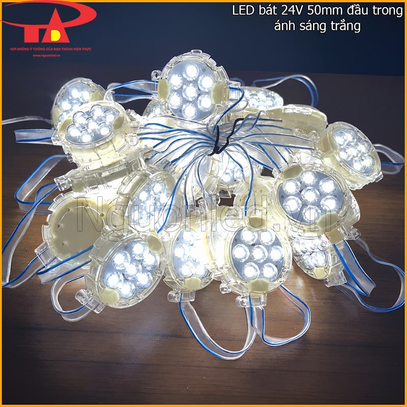  LED bát F50 24V màu trắng đầu trong phát sáng trắng lạnh 6000–6500K