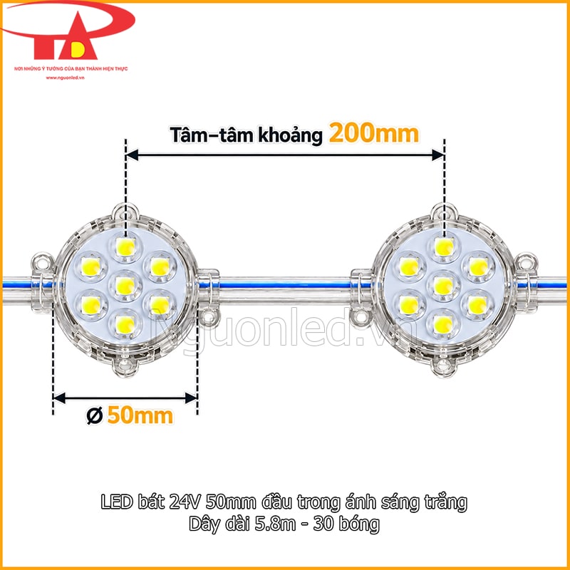 LED bát D50 màu trắng đầu trong dùng cho tính toán số bóng và khoảng cách lắp