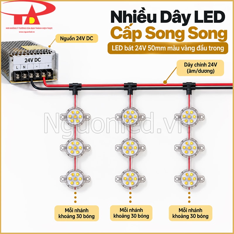 Sơ đồ chia nguồn song song cho nhiều dây LED bát 24V 50mm màu vàng đầu trong
