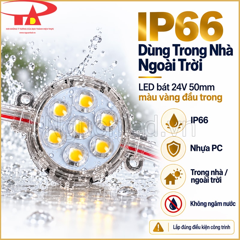 LED bát F50 24V màu vàng đầu trong IP66 dùng ở vị trí ngoài trời 
