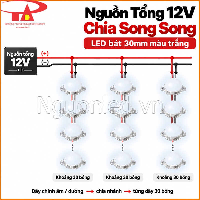  LED bát 30mm 12V màu trắng đầu đục lắp theo nhiều nhánh trên cùng hệ cấp nguồn