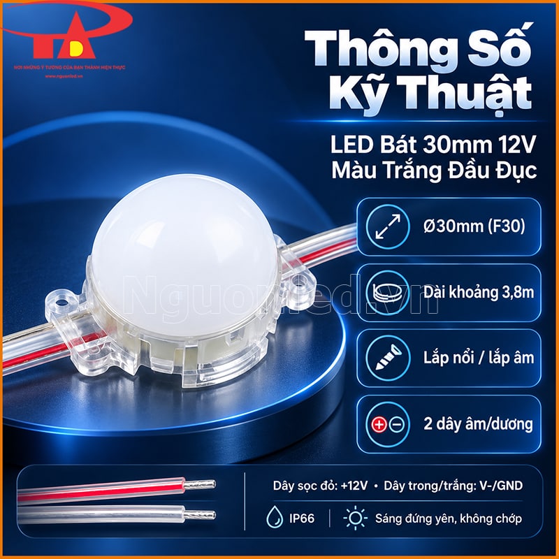 Bảng thông số LED bát 30mm 12V màu trắng đầu đục với điện áp, công suất và kích thước