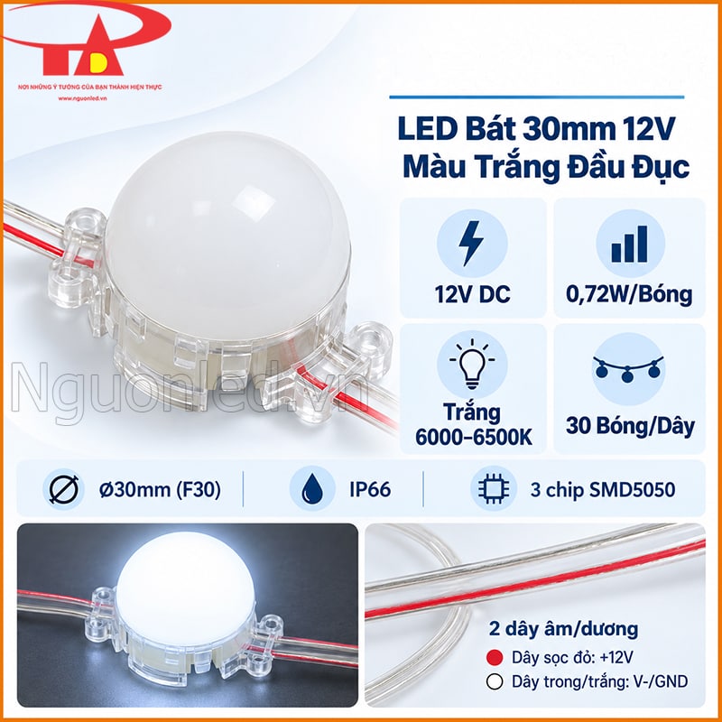 LED bát 30mm màu trắng đầu đục tạo các điểm sáng trắng đứng yên trên tuyến viền 