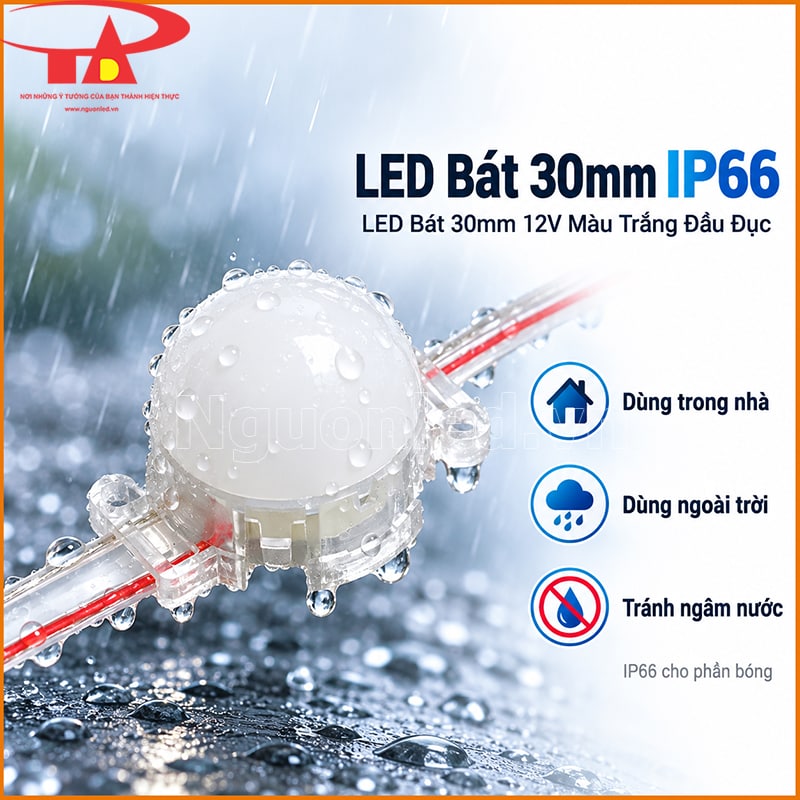 LED bát 30mm IP66 màu trắng đầu đục dùng ở vị trí ngoài trời có nước tạt