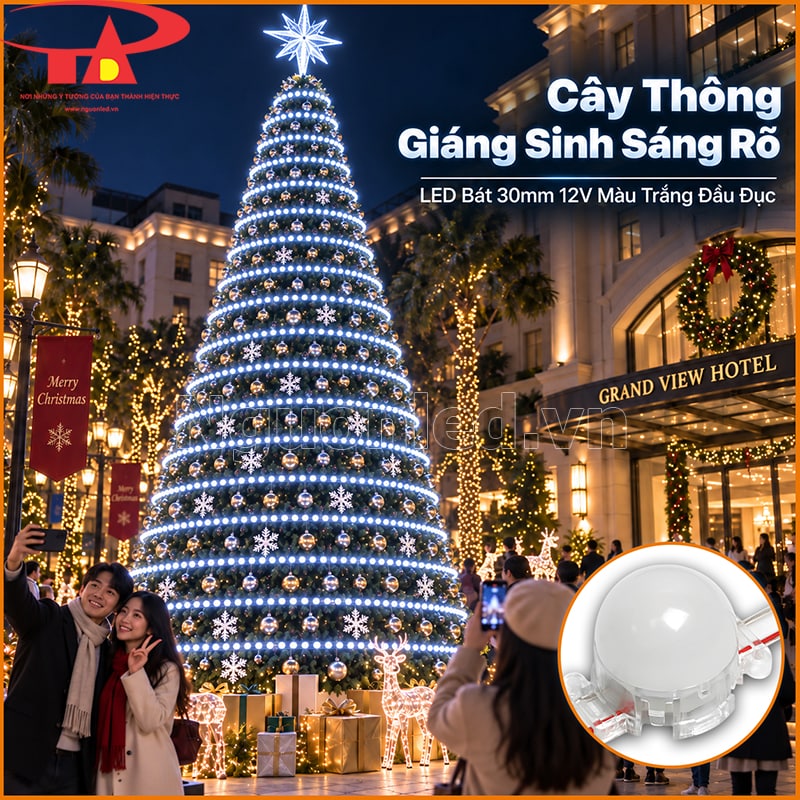 Cây thông Noel lớn trang trí bằng LED bát 30mm màu trắng đầu đục theo từng tầng