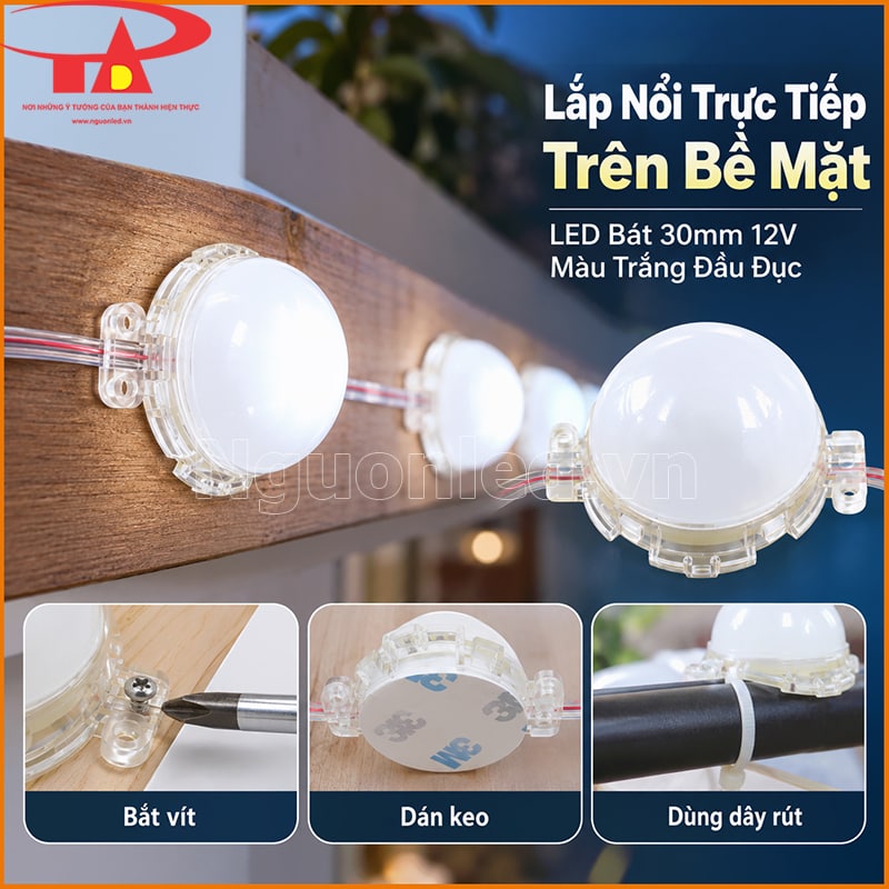 LED bát F30 màu trắng đầu đục lắp nổi trên bề mặt với mặt bóng và thân lộ ra ngoài
