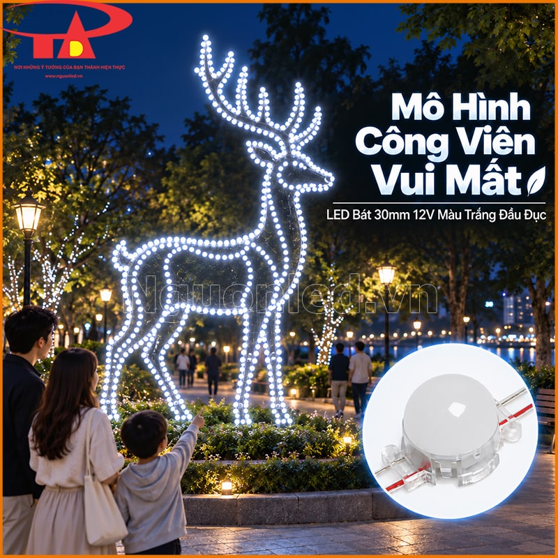 Mô hình trang trí dùng LED bát F30 màu trắng đầu đục theo đường cong và các cạnh chính