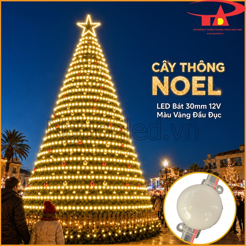 Cây thông Noel lớn phủ nhiều hàng LED bát 30mm màu vàng nắng từ thân lên ngôi sao
