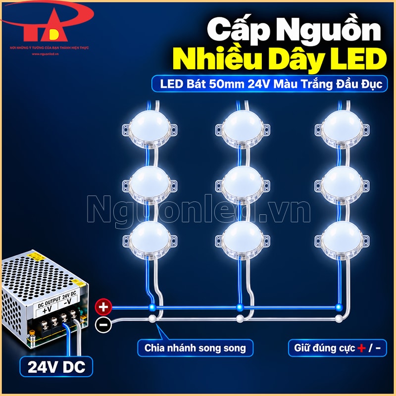 Sơ đồ cấp nguồn song song cho nhiều dây LED bát 50mm 24V màu trắng