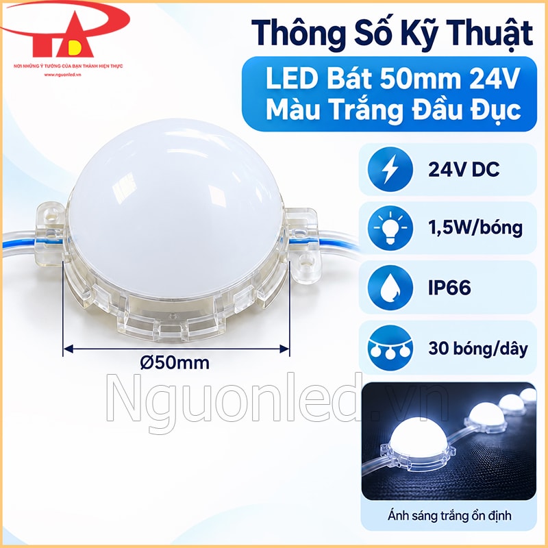 LED bát 50mm 24V màu trắng đầu đục với thông số điện áp, công suất và kích thước