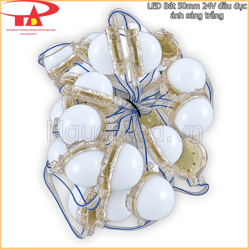 LED bát 50mm đầu đục 24V sáng trắng dùng trong quá trình kiểm tra trước khi lắp 