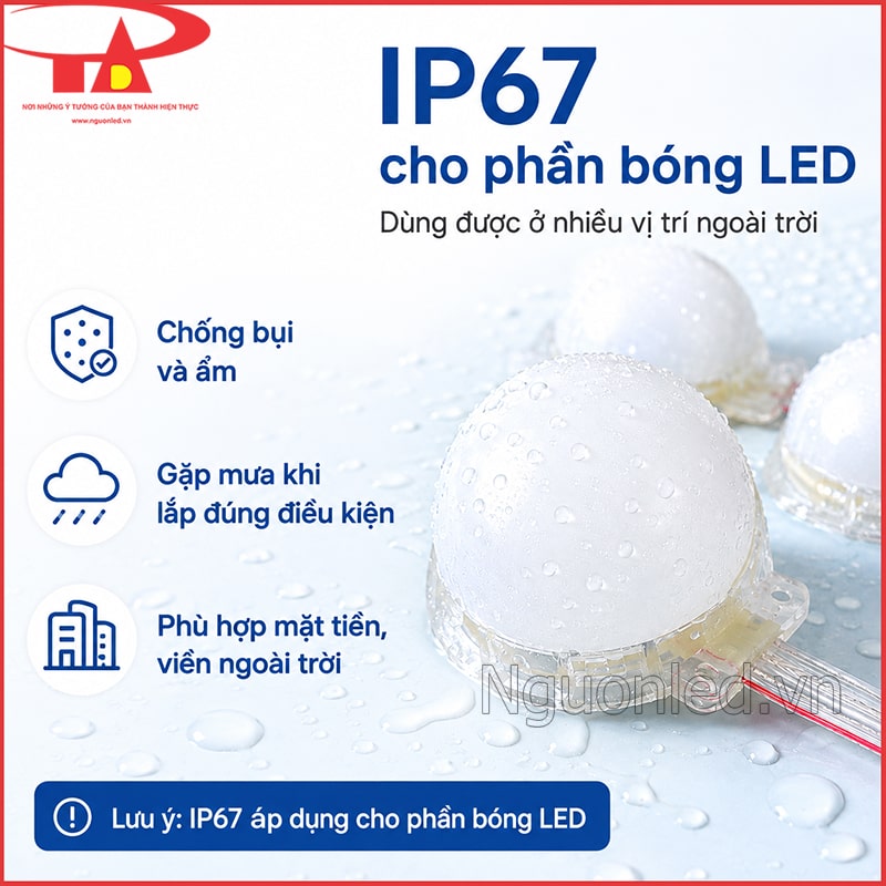 LED bát đầu đục 50mm phủ giọt nước cùng thông tin cấp bảo vệ IP67 cho phần bóng 