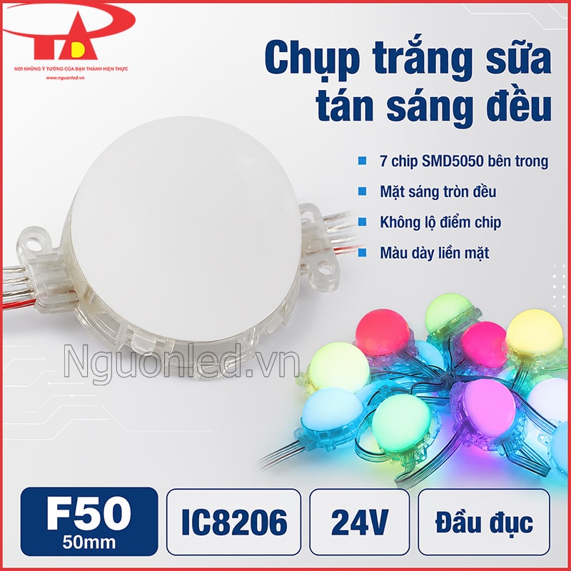 LED bát F50 IC8206 đầu đục 24V với chụp trắng sữa và cụm bóng phát nhiều màu