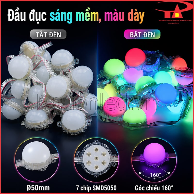 LED bát đầu đục 50mm khi tắt và bật sáng, kèm 7 chip SMD5050 và góc chiếu 160°