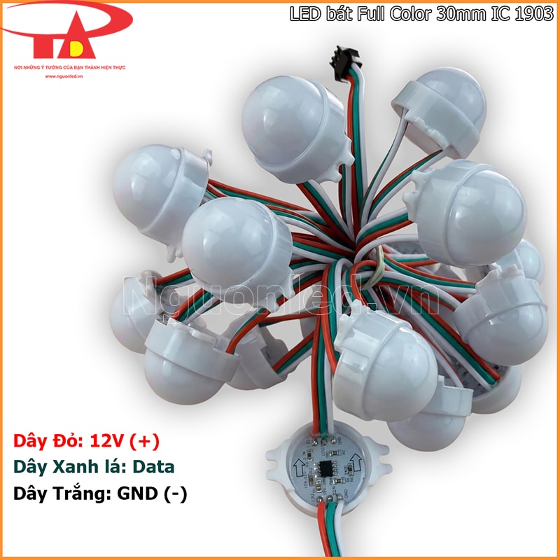  Ba dây của LED bát Full Color IC 1903 gồm dây đỏ, xanh lá và trắng