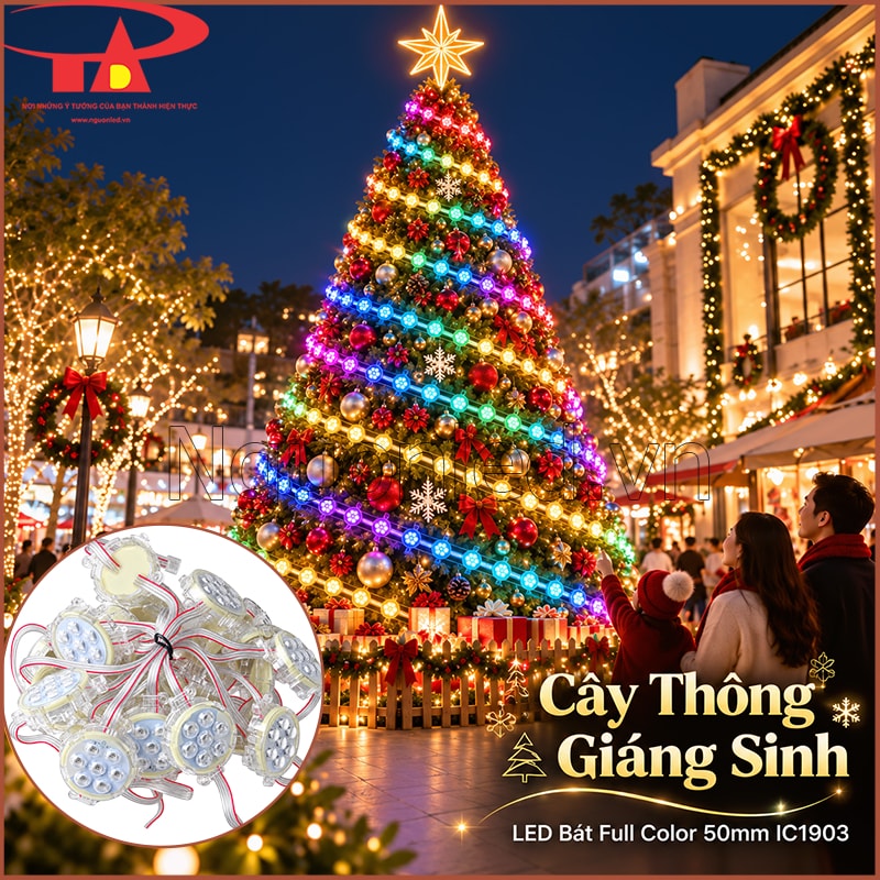 Cây thông Noel trang trí bằng LED bát Full Color 50mm với nhiều điểm sáng màu