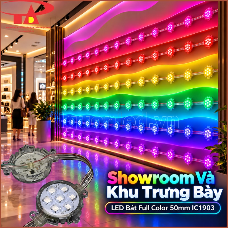Khu showroom trang trí bằng LED bát 50mm đổi màu trên các mảng trưng bày