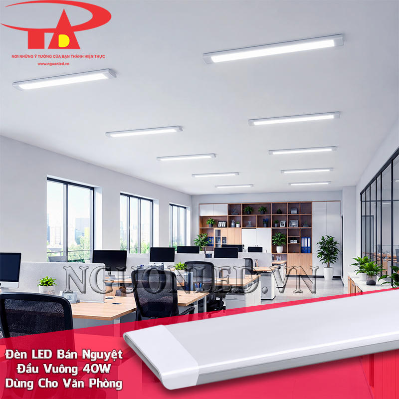 Bóng tuýp bán nguyệt đầu vuông 40W bố trí theo tuyến trần văn phòng, hỗ trợ nền sáng cho các cụm bàn làm việc
