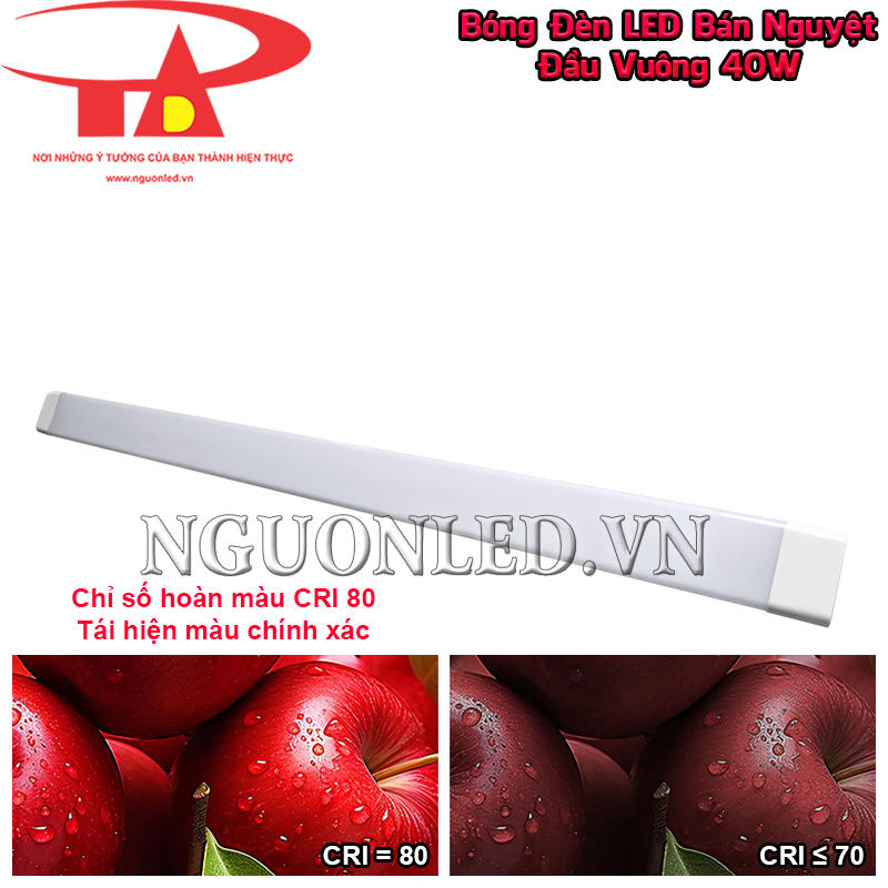 Bóng tuýp bán nguyệt đầu vuông 40W có CRI 80 Ra, hỗ trợ nhận biết màu vật thể gần với sắc độ thực