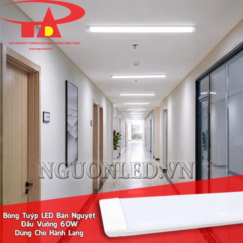 Bóng tuýp bán nguyệt đầu vuông 60W bố trí theo tuyến giúp hành lang rõ hướng, dễ quan sát