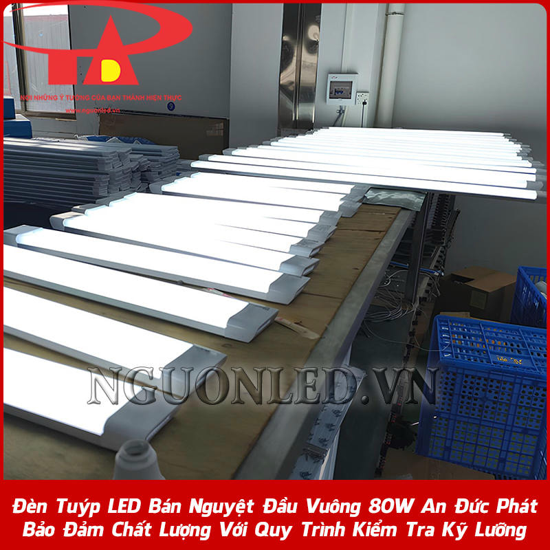 Đèn tuýp LED bán nguyệt đầu vuông 80W đảm bảo chất lượng tại An Đức Phát